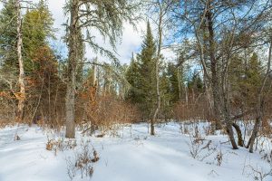 5145 Tamarack Rd, , Conover,  WI 54519 United States