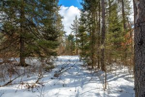 5145 Tamarack Rd, , Conover,  WI 54519 United States