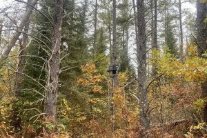 5145 Tamarack Rd, , Conover,  WI 54519 United States