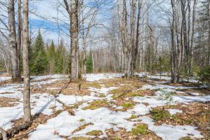 52ac Off Crawford Lake Rd, , Presque Isle,  WI 54557 United States