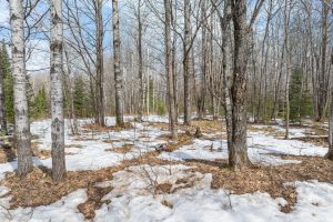 52ac Off Crawford Lake Rd, , Presque Isle,  WI 54557 United States