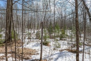 52ac Off Crawford Lake Rd, , Presque Isle,  WI 54557 United States