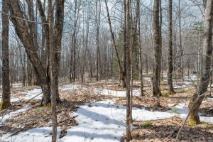 52ac Off Crawford Lake Rd, , Presque Isle,  WI 54557 United States