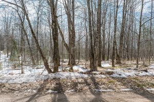 52ac Off Crawford Lake Rd, , Presque Isle,  WI 54557 United States