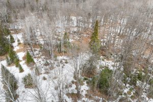 52ac Off Crawford Lake Rd, , Presque Isle,  WI 54557 United States