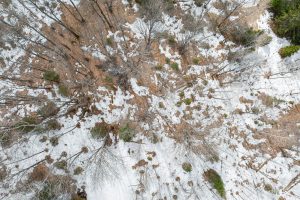 52ac Off Crawford Lake Rd, , Presque Isle,  WI 54557 United States