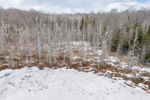 52ac Off Crawford Lake Rd, , Presque Isle,  WI 54557 United States