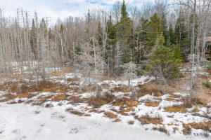 52ac Off Crawford Lake Rd, , Presque Isle,  WI 54557 United States