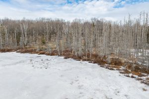 52ac Off Crawford Lake Rd, , Presque Isle,  WI 54557 United States