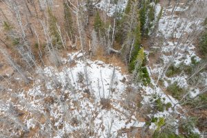 52ac Off Crawford Lake Rd, , Presque Isle,  WI 54557 United States