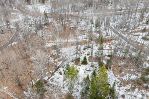 52ac Off Crawford Lake Rd, , Presque Isle,  WI 54557 United States