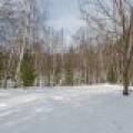 689 Bellview Rd, , Eagle River,  WI 54521 United States