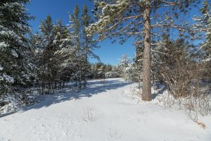 9a Off CTH S, , Conover,  WI 54519 United States