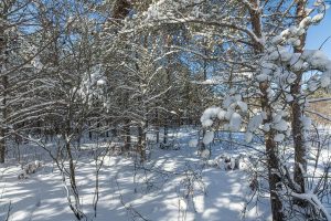 9a Off CTH S, , Conover,  WI 54519 United States