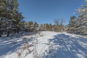 9a Off CTH S, , Conover,  WI 54519 United States
