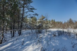 9a Off CTH S, , Conover,  WI 54519 United States