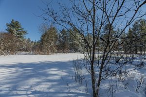 9a Off CTH S, , Conover,  WI 54519 United States