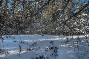 9a Off CTH S, , Conover,  WI 54519 United States