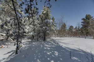 9a Off CTH S, , Conover,  WI 54519 United States