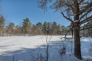 9a Off CTH S, , Conover,  WI 54519 United States