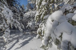 9a Off CTH S, , Conover,  WI 54519 United States