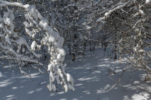 9a Off CTH S, , Conover,  WI 54519 United States