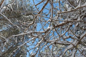 9a Off CTH S, , Conover,  WI 54519 United States