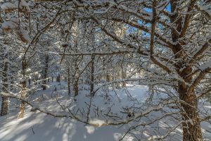 9a Off CTH S, , Conover,  WI 54519 United States