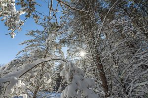 9a Off CTH S, , Conover,  WI 54519 United States