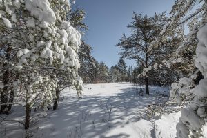 9a Off CTH S, , Conover,  WI 54519 United States