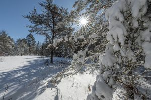 9a Off CTH S, , Conover,  WI 54519 United States