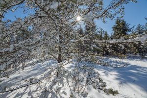 9a Off CTH S, , Conover,  WI 54519 United States