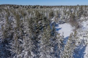9a Off CTH S, , Conover,  WI 54519 United States