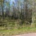 10 On Pfeifer Rd, , Tomahawk,  WI 54487 United States