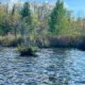 10 On Pfeifer Rd, , Tomahawk,  WI 54487 United States