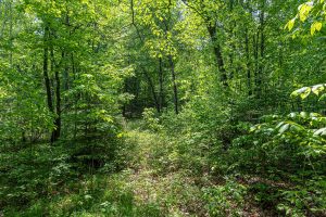 52ac Off Crawford Lake Rd, , Presque Isle,  WI 54557 United States