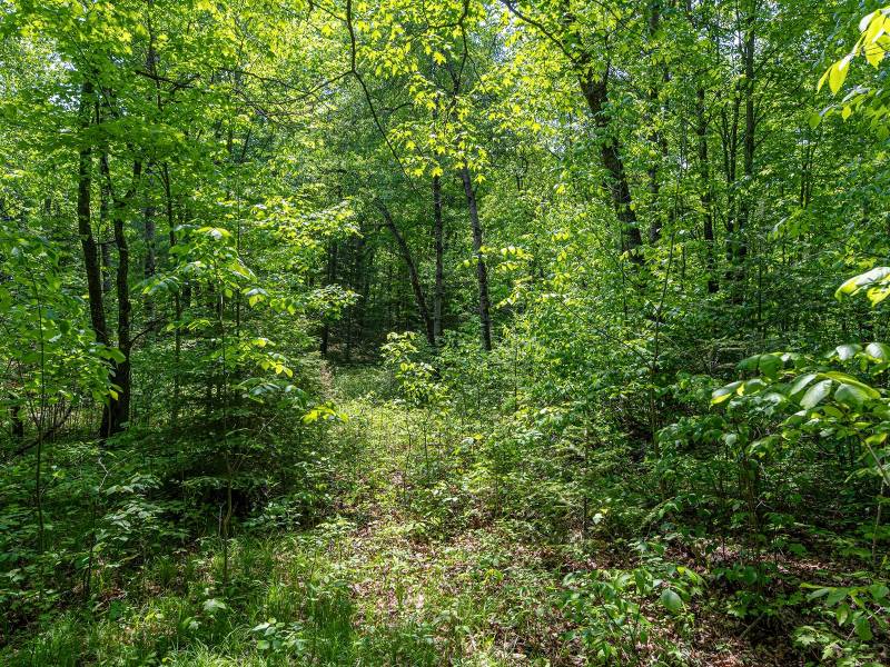 52ac Off Crawford Lake Rd, , Presque Isle,  WI 54557 United States