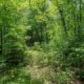 52ac Off Crawford Lake Rd, , Presque Isle,  WI 54557 United States
