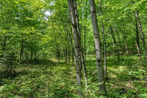 52ac Off Crawford Lake Rd, , Presque Isle,  WI 54557 United States