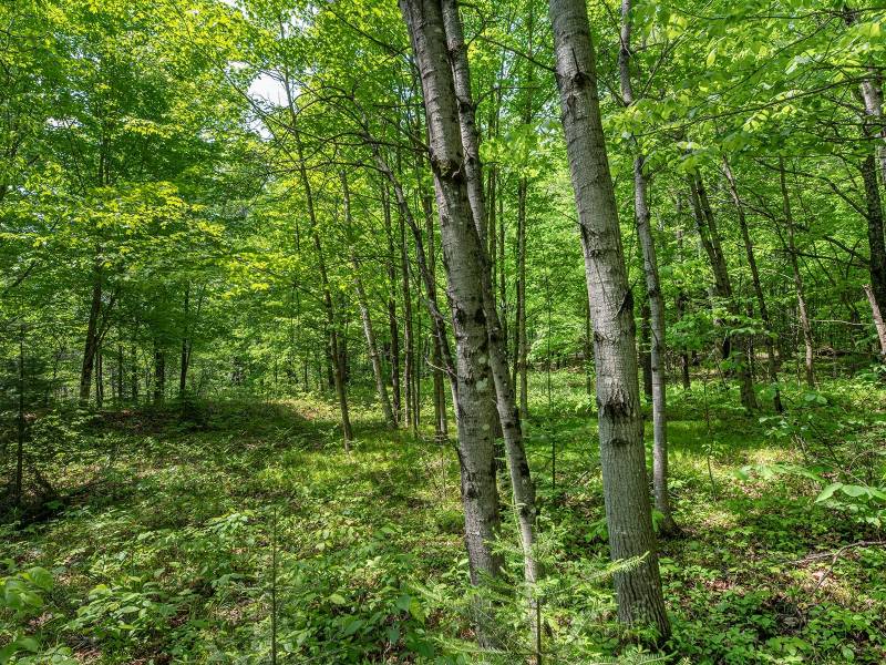 52ac Off Crawford Lake Rd, , Presque Isle,  WI 54557 United States