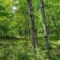 52ac Off Crawford Lake Rd, , Presque Isle,  WI 54557 United States