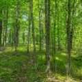 52ac Off Crawford Lake Rd, , Presque Isle,  WI 54557 United States