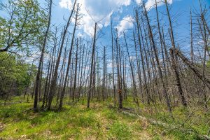 52ac Off Crawford Lake Rd, , Presque Isle,  WI 54557 United States