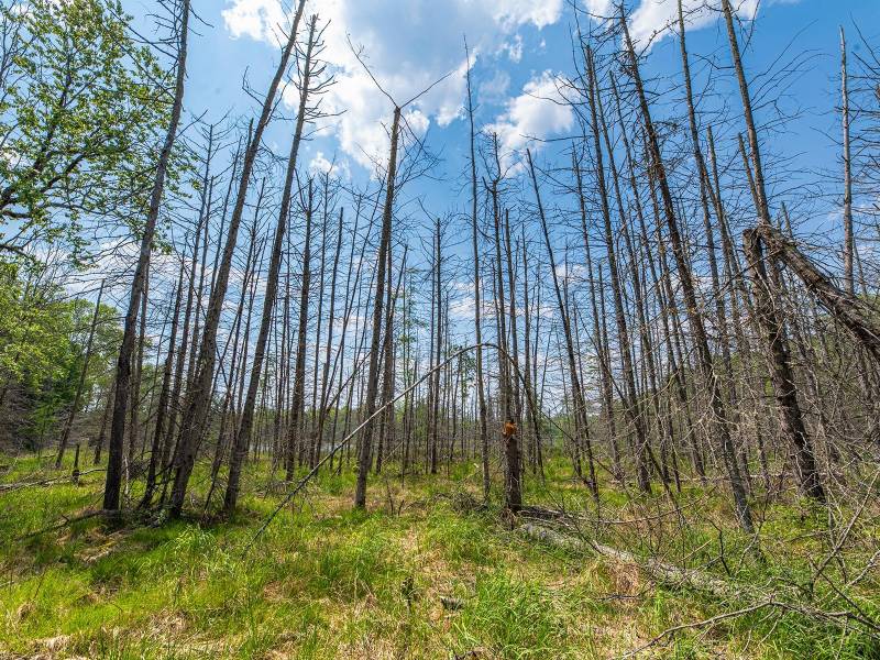 52ac Off Crawford Lake Rd, , Presque Isle,  WI 54557 United States