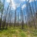 52ac Off Crawford Lake Rd, , Presque Isle,  WI 54557 United States