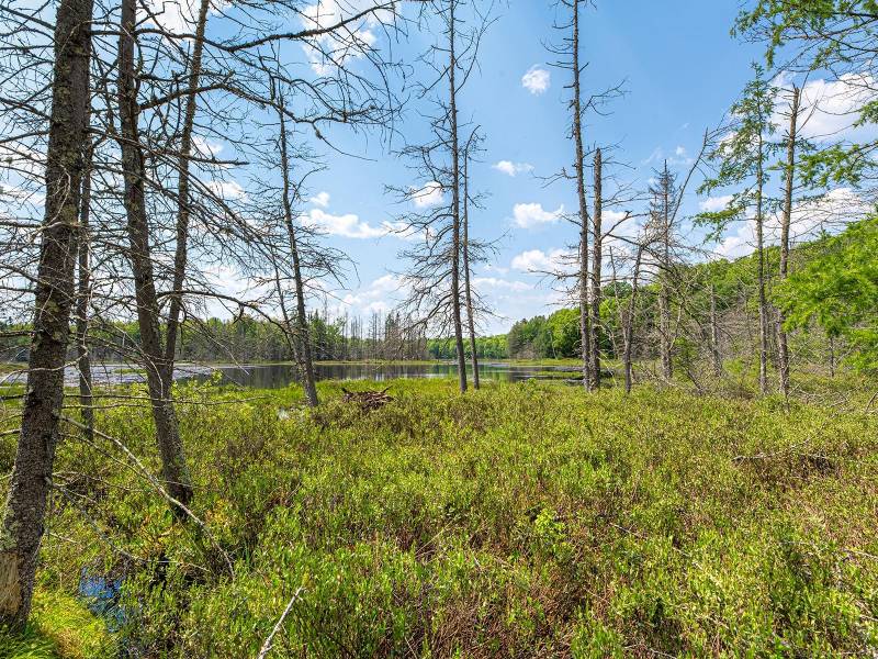 52ac Off Crawford Lake Rd, , Presque Isle,  WI 54557 United States