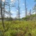 52ac Off Crawford Lake Rd, , Presque Isle,  WI 54557 United States