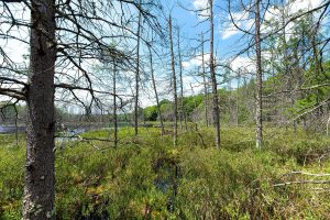 52ac Off Crawford Lake Rd, , Presque Isle,  WI 54557 United States
