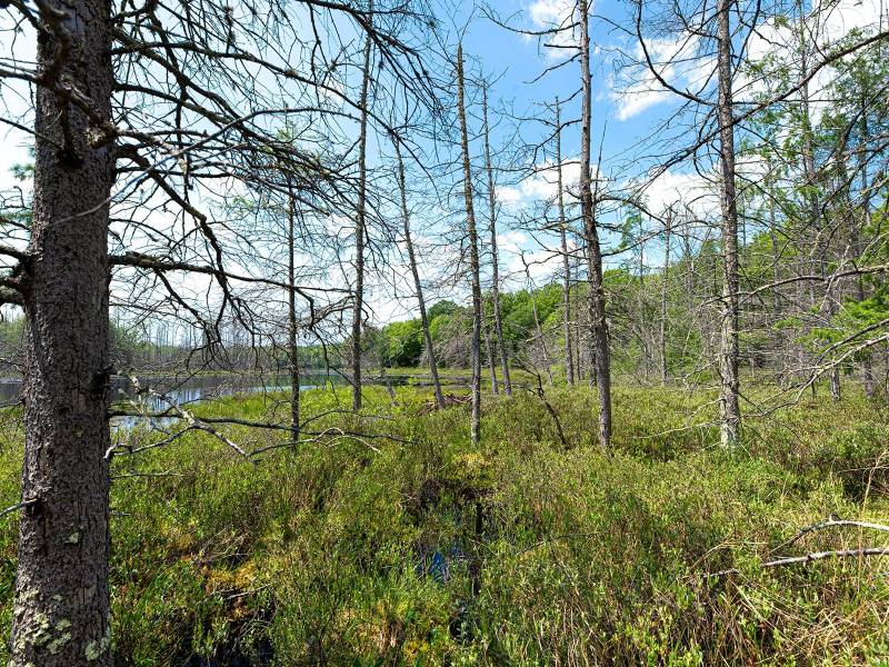 52ac Off Crawford Lake Rd, , Presque Isle,  WI 54557 United States