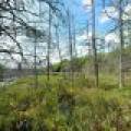 52ac Off Crawford Lake Rd, , Presque Isle,  WI 54557 United States